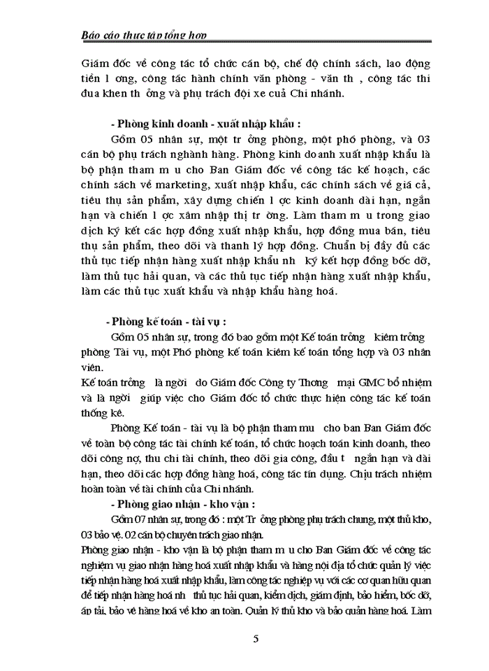 image for page Phân tích tình hình hoạt động kinh doanh của Công ty thương mại GMC