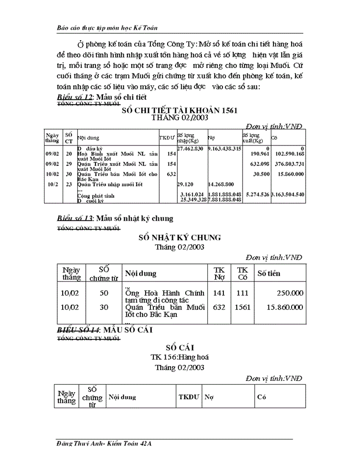 image for page Một số ý kiến nhận xét và kiến nghị nhằm hoàn thiện tổ chức công tác kế toán ở Tổng Công Ty Muối