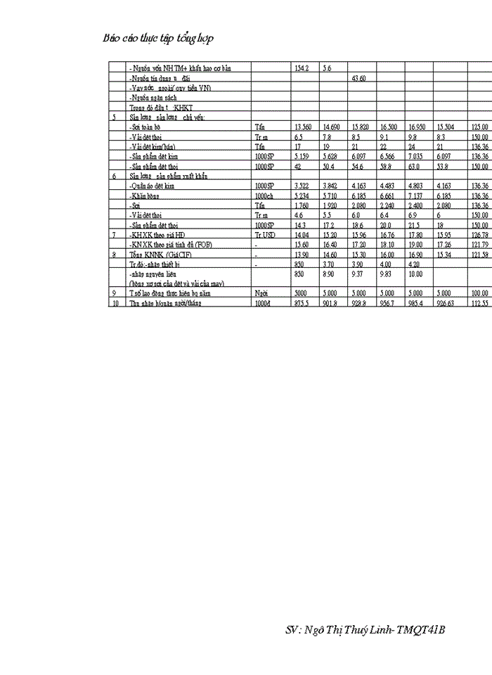 image for page Báo cáo tổng hợp Công ty dệt may Hà Nội ( Hanosimex)